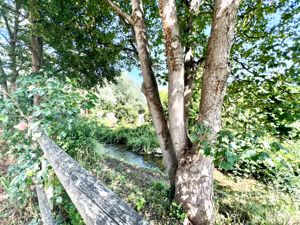 River- click for photo gallery